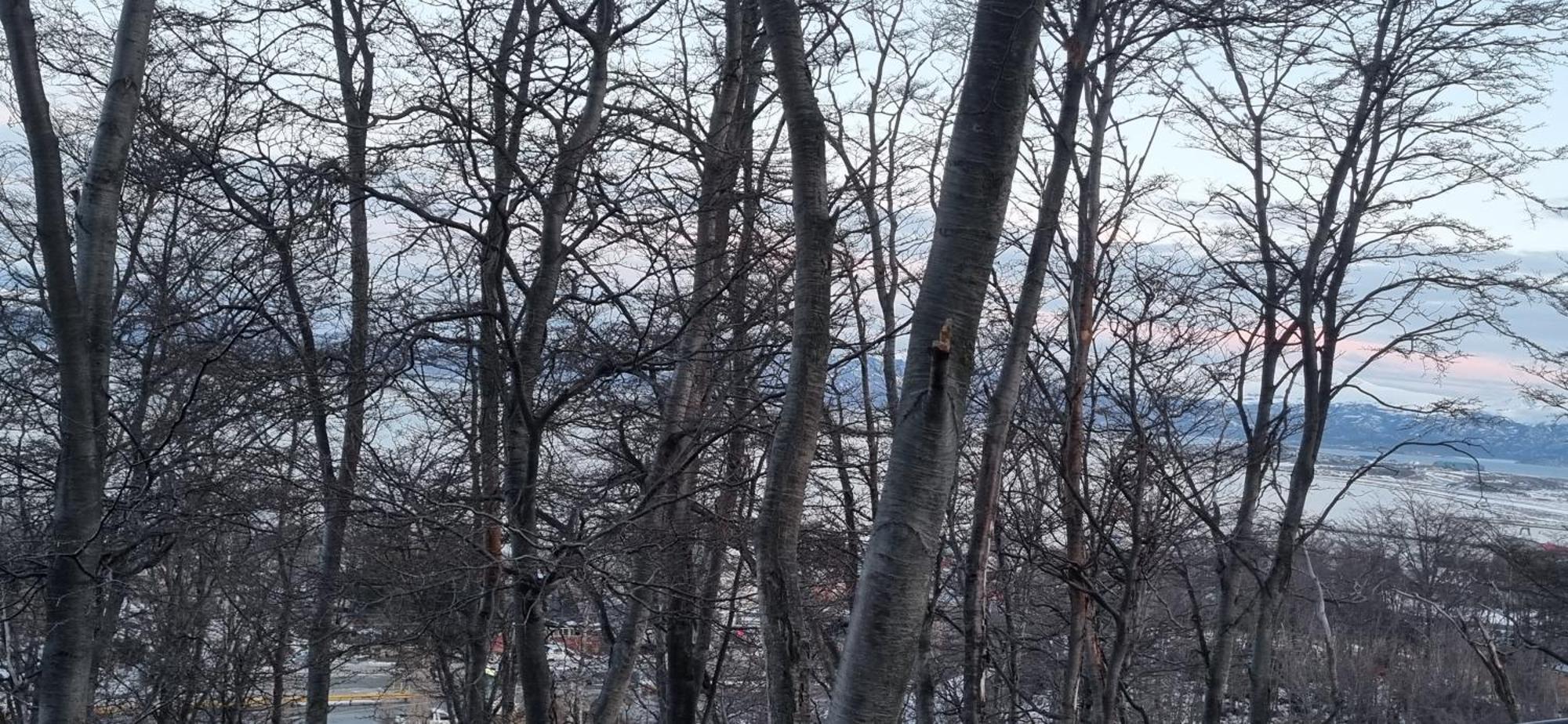 Depto Laguna Encantada Ushuaia Kültér fotó